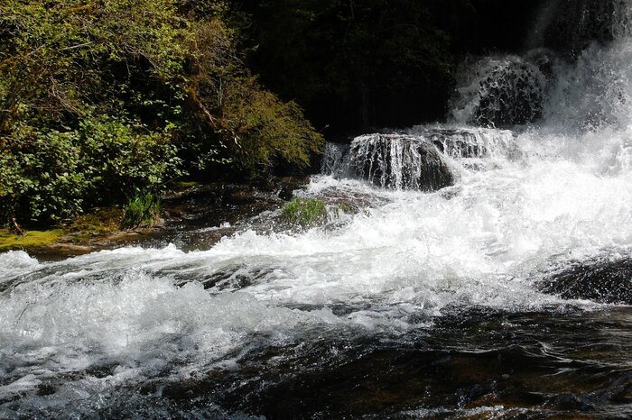 Alsea Fall